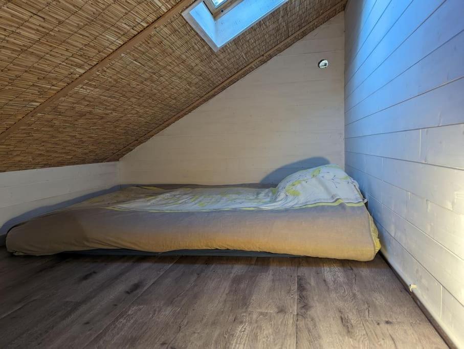 Cabane
